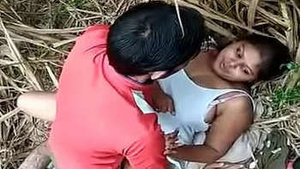 Desi group sex in the great outdoors