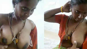 Enjoy the clear audio and visuals of a Tamil maid with big boobs getting fucked