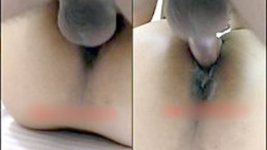 Priya's husband records her affair with a bull in part one of the video