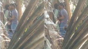 Exclusive video of desi couple having sex outdoors in the wild