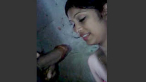 Desi lover enjoys a blowjob in the bathroom with her talking partner