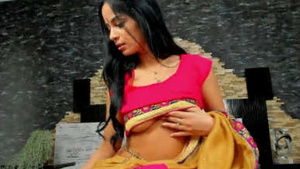 Busty beauty in a saree flaunts her assets